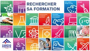 Les domaines d'études