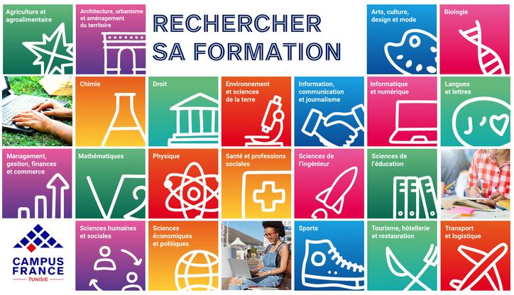 Les domaines d'études